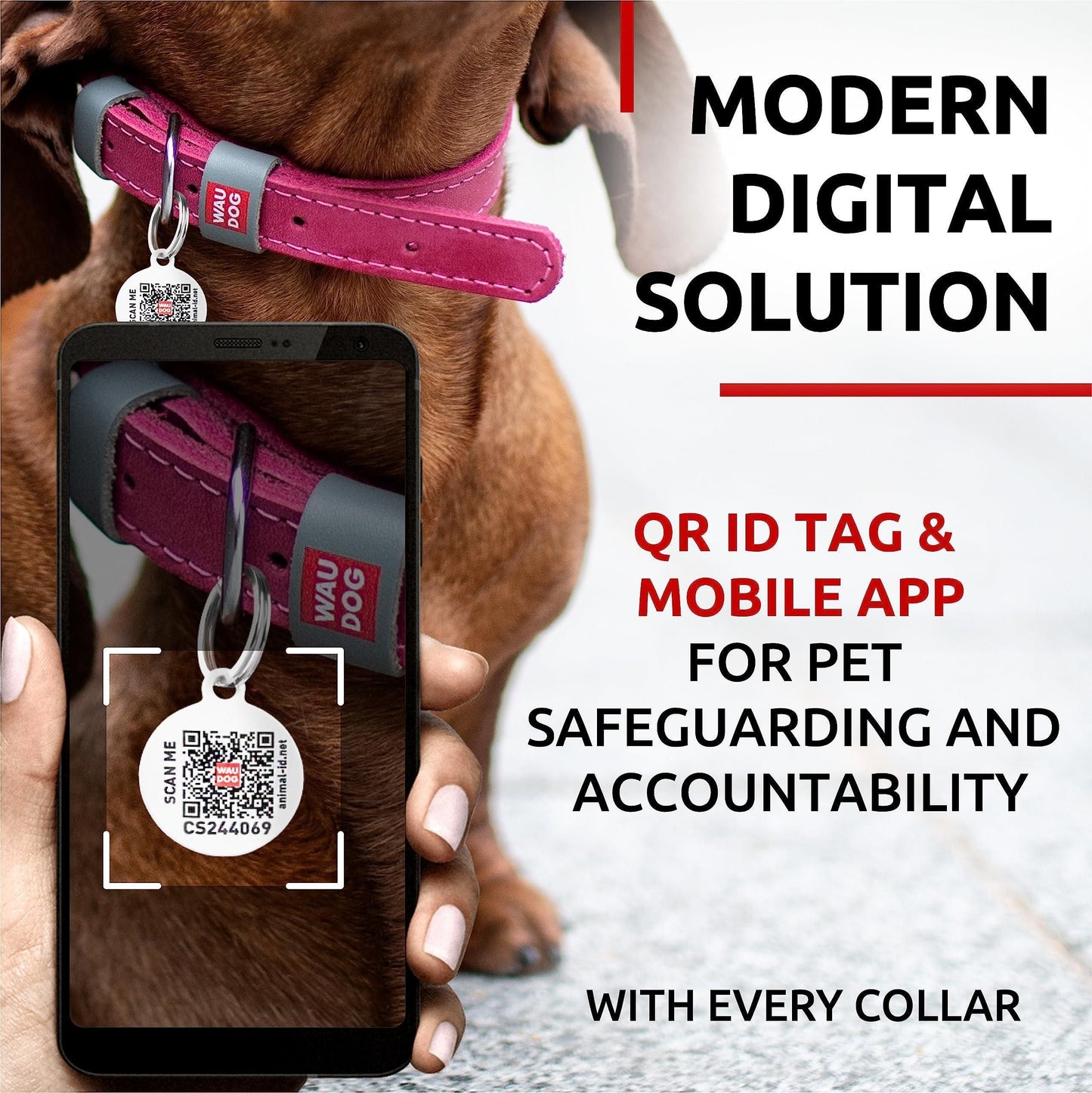 Long Lasting Leather Dog Collar for Large Dogs Medium Small Dogs Adjustable Collar with Durable Buckle D Ring 11-14 inch Neck x 3/5 inch Wide Pink Color
