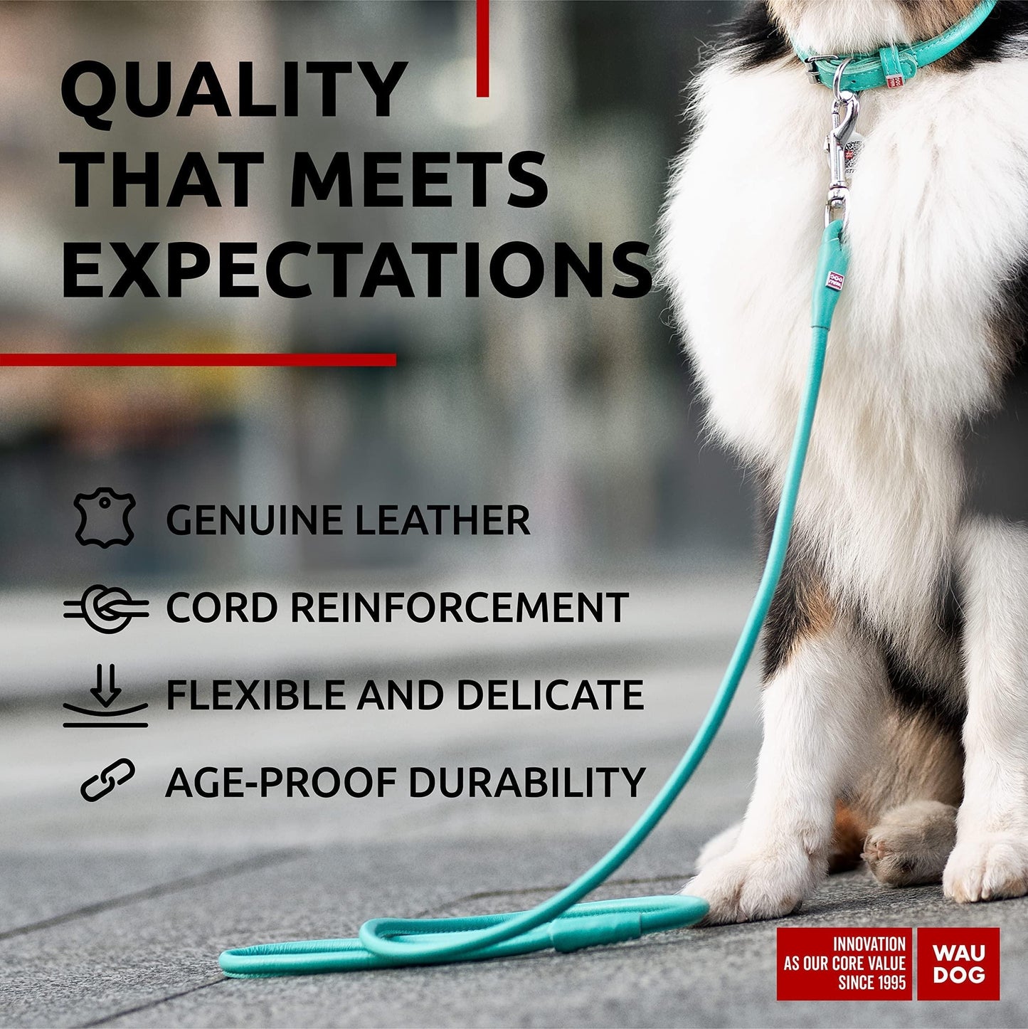 Rolled Leather Dog Leash 6Ft * 0.5 in for Small Medium and Large Dogs Heavy Duty Leather Puppy Leash for Outdoor Walking Running Training Strong Dog Leashes for Large Breed Dogs Mint Color